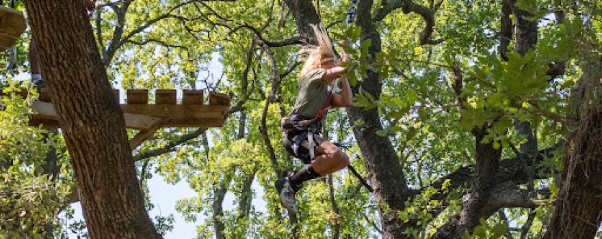 Tree Adventure Accrodiable