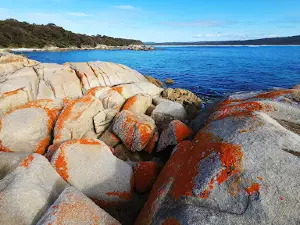 Bay of Fires Conservation Area