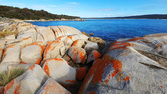 Bay of Fires Conservation Area