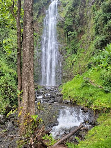 Materuni Trekking And Coffee Tour