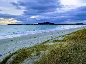 Tiree