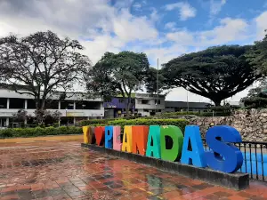 Planadas