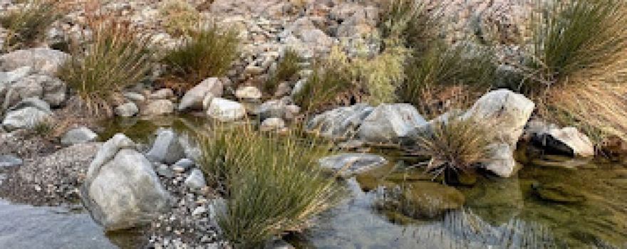 Wadi Kadra