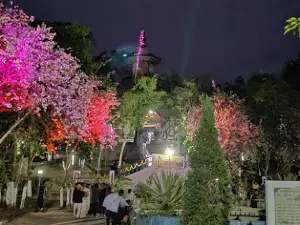 Doul Mandir (Bordua)