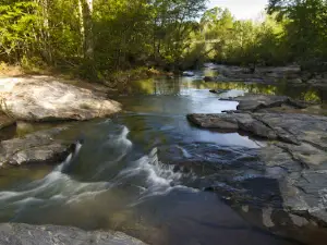 Chattahoochee Fall Line WMA Almo Blackjack Tracks