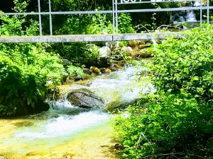 Petocko Vodice