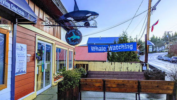 Ocean Ecoventures Whale Watching
