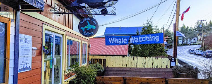 Ocean Ecoventures Whale Watching
