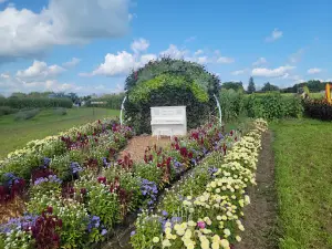 La Belle de Coteau-du-Lac