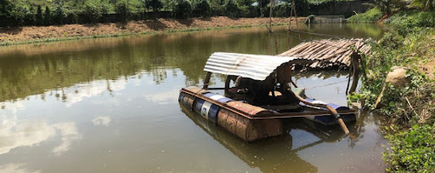 Hồ câu cá Triệu Giang
