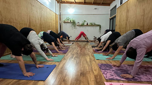 Muladhara Yoga - Estudio de Yoga