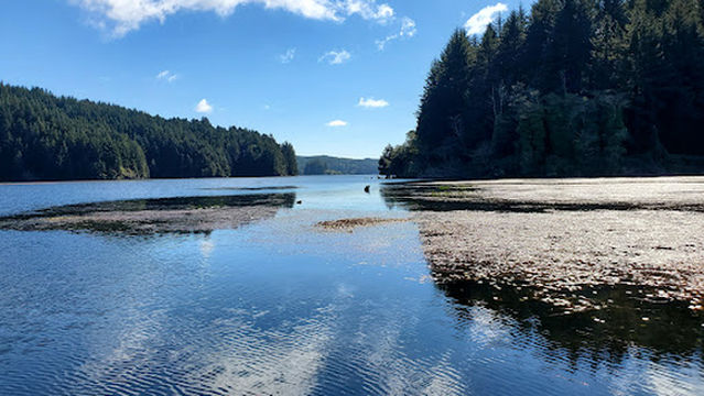 Tahkenitch Landing Campground