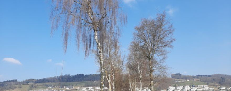 Pfahlbausiedlung Wauwil
