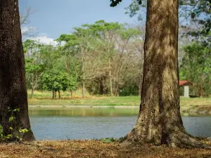 Musiú Carmelo Park