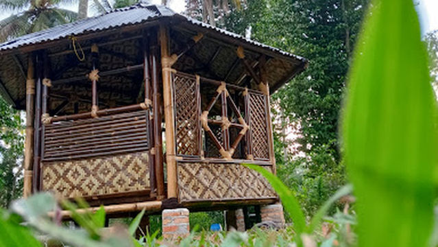 ARGOPURO OUTBOUND AND CAMP