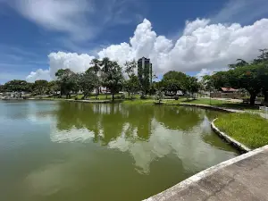 Floriano Peixoto Square