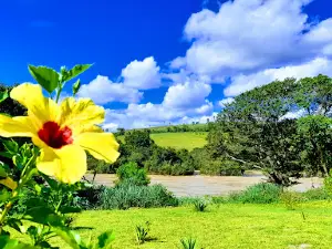 Pontal Camping Bar