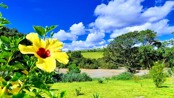Pontal Camping Bar