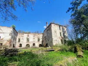Ruiny Pałacu w Chrzelicach