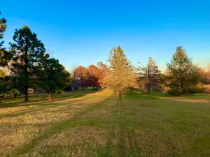 Morgan Creek Park