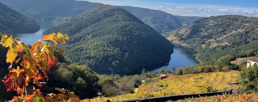 Turismopanton