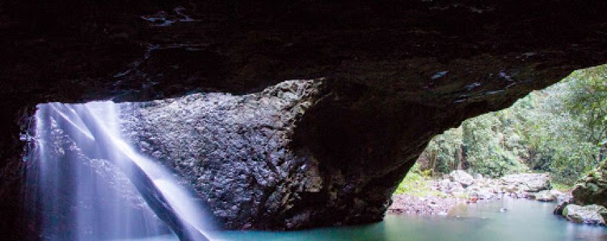 Glow Worm Cave
