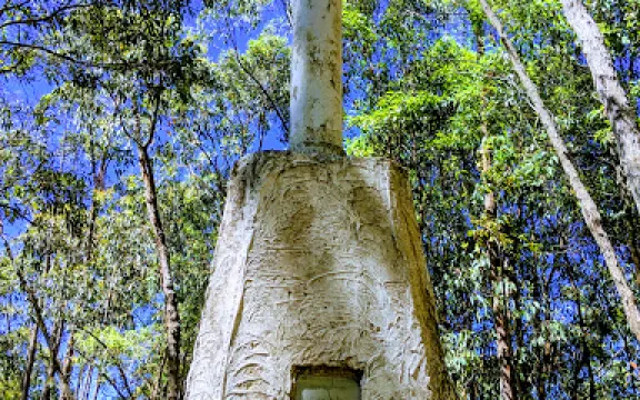 Mooball National Park