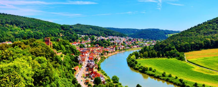 Neckarlauer