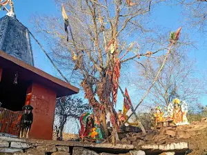 Kedar Gufa Asli Kaila Devi Temple