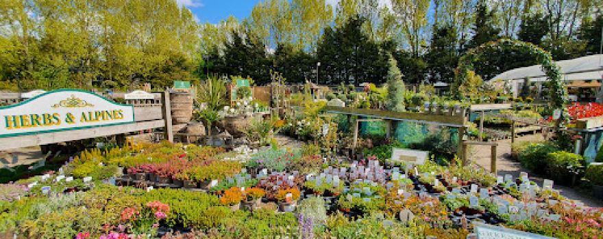 Greenbrook Garden Centre
