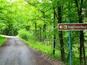 Holiday destination Vinianske lake