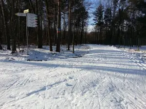 Stadion Miejskiego Klubu Sportowego Tomasovia Tomaszów Lubelski
