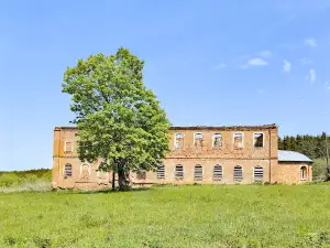 Nikolo-Bavykinskiy Monastyr'
