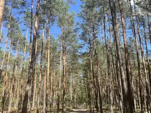 ROD Kamieńczyk, brama wjazdowa