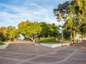 Plaza Dr Antonio Lladó "Los Pinos"