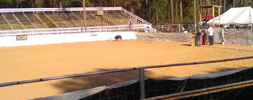 Uncle Earls Hog Bay