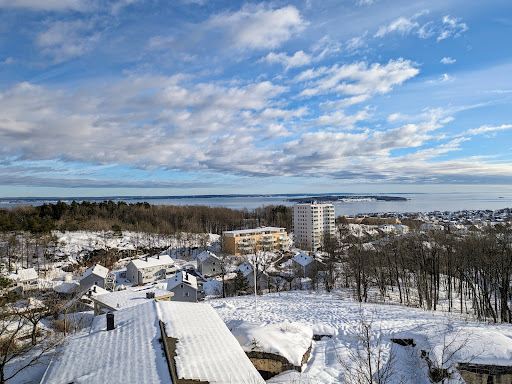 Brårudåsen batteri