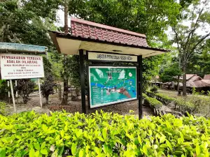 Lata Bayu
