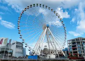 Das Kölner Riesenrad am Schokoladenmuseum