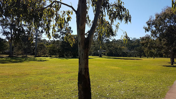 Jesmond Road Park (Rainbow Forest)