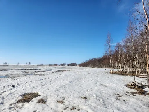 Rantakurvi Birdwatching Tower