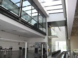 Ibarra Kiroldegia
