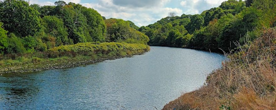 Teifi Marshes Nature Reserve