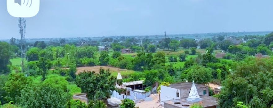 Bhitarwar Fort