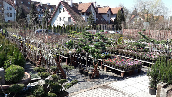 Wieliczka