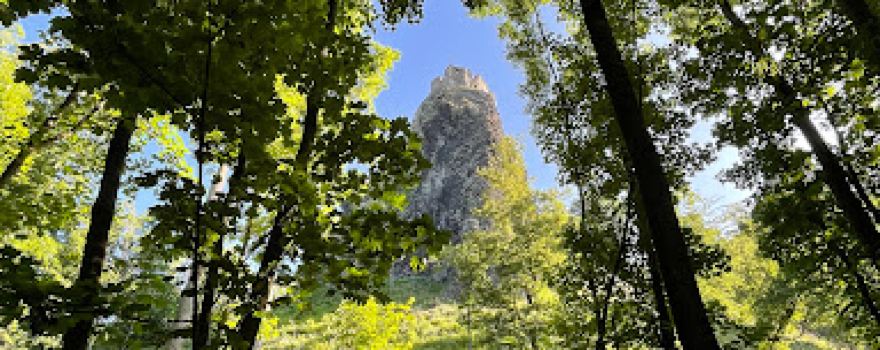 Trosky Castle