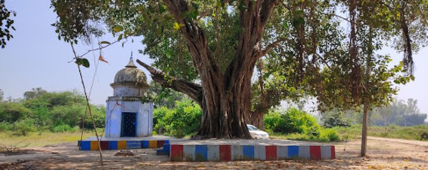 Gulreshver mahadev mandir