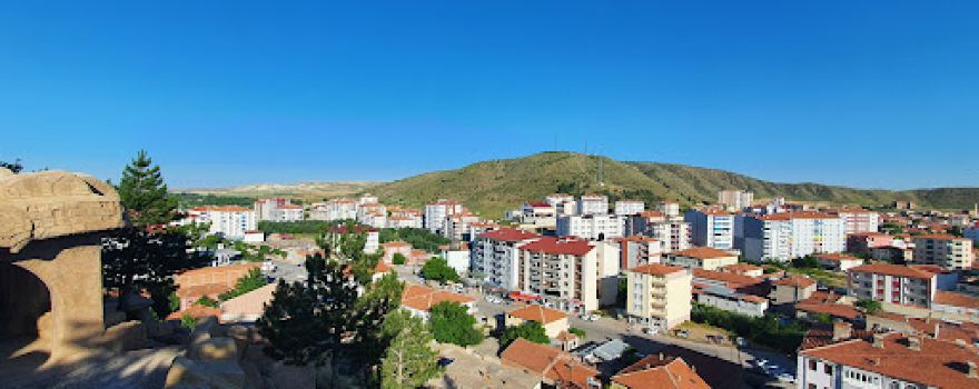 Şefaatli Castle