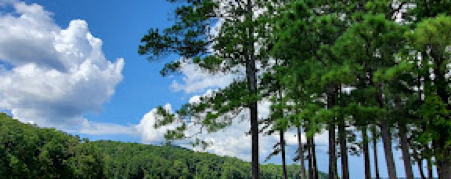 Lake Allatoona Fishing Guides