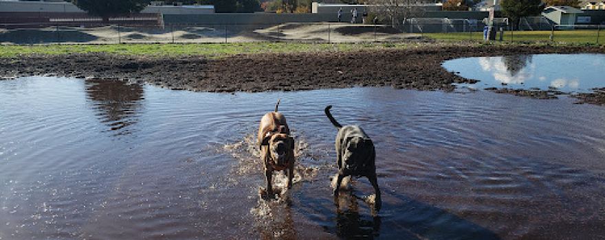 Skypark Dog Park